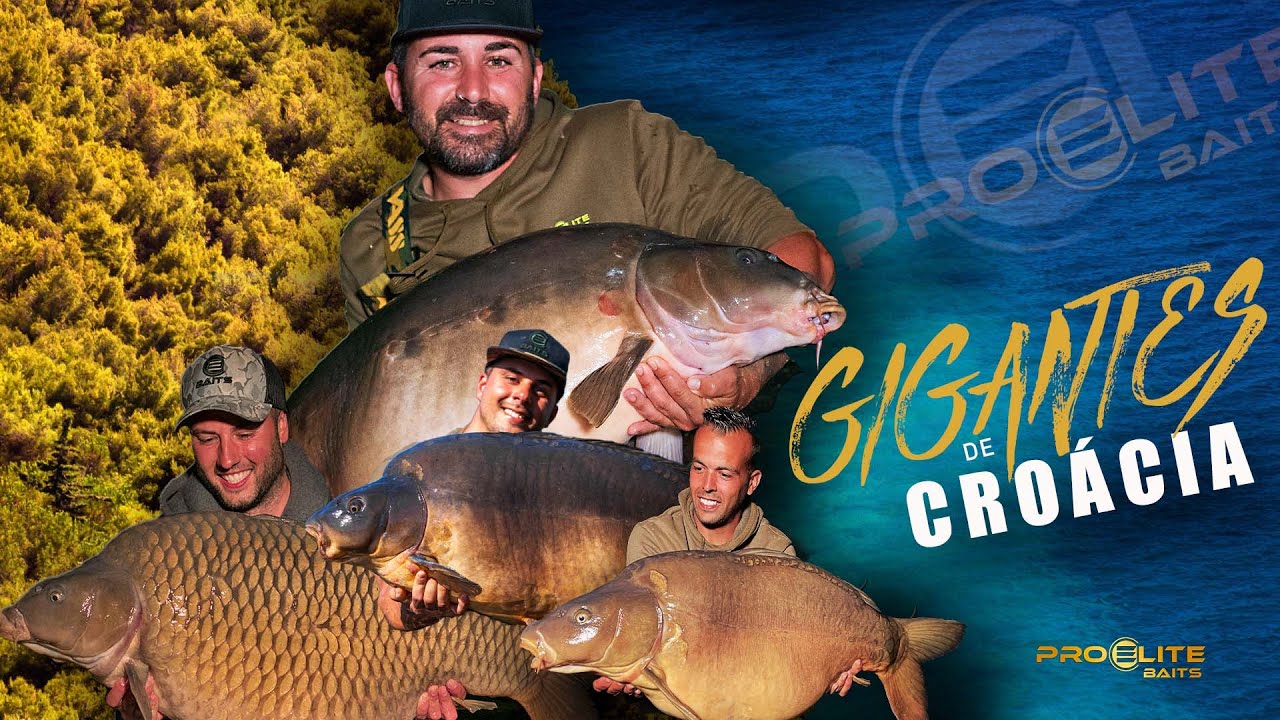 CARPFISHING ( GIGANTES DE CROACIA)