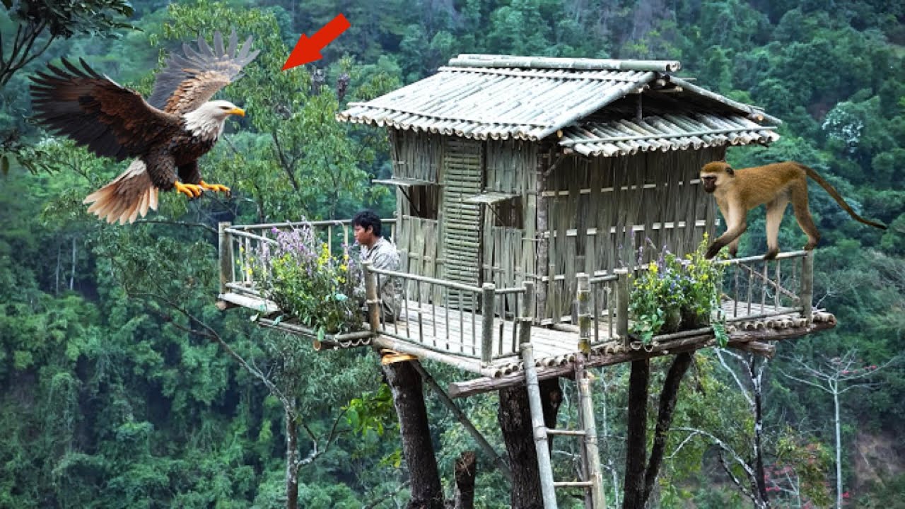 Unbelievable This One Legged Guy Built an Epic Treehouse All by Himself