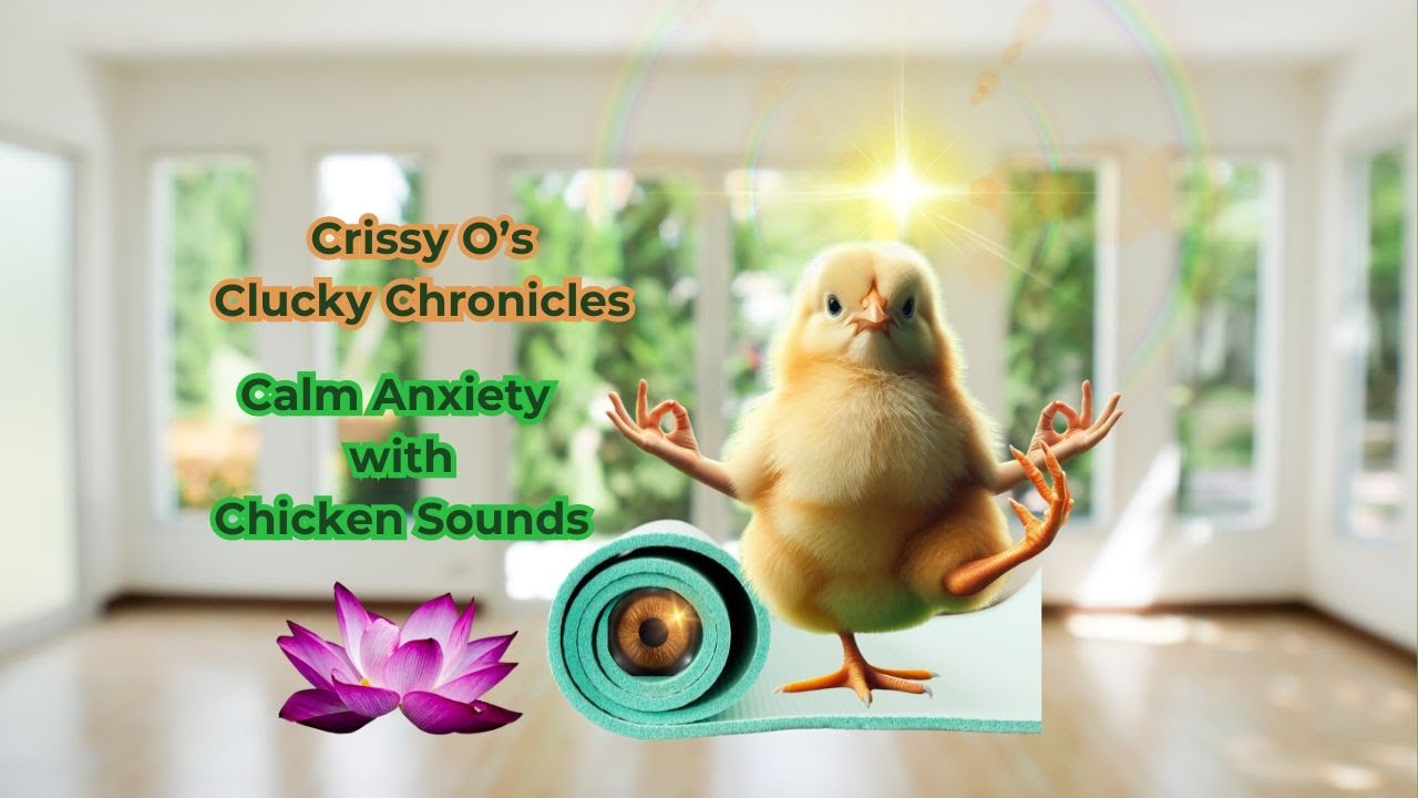 ASMR Chicken Yard Calming Sounds