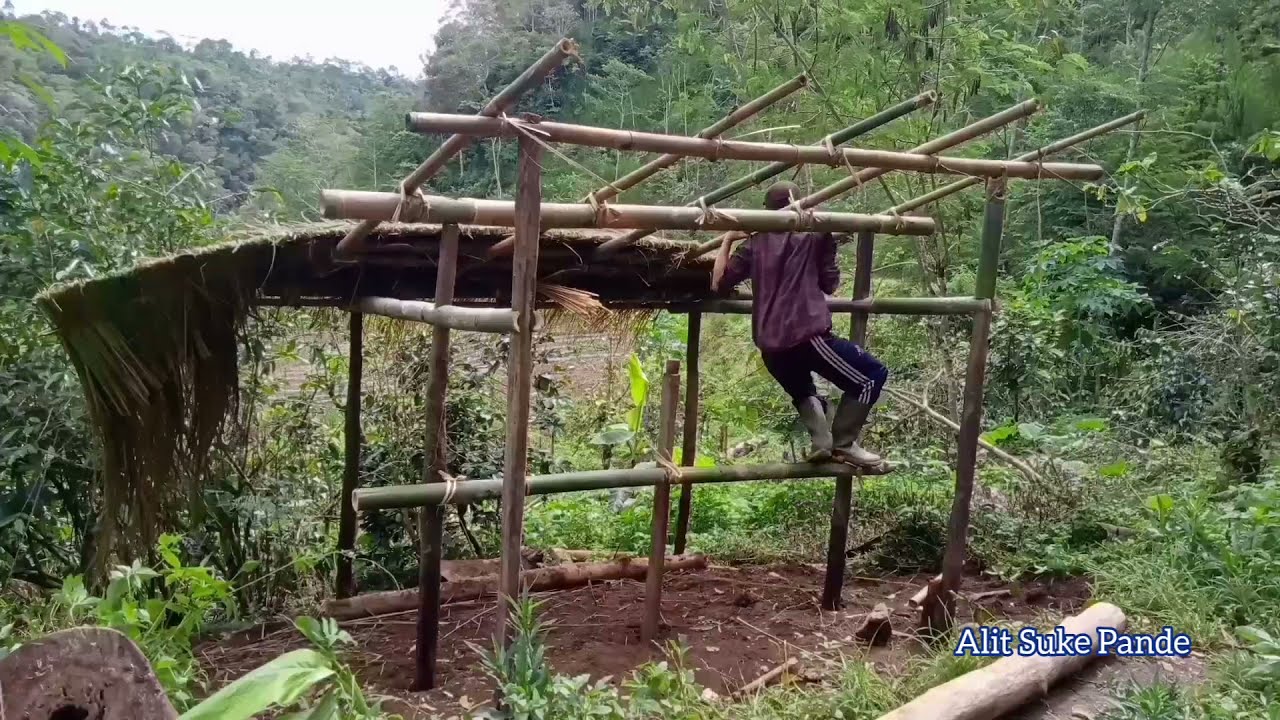 membuat kandang sapi