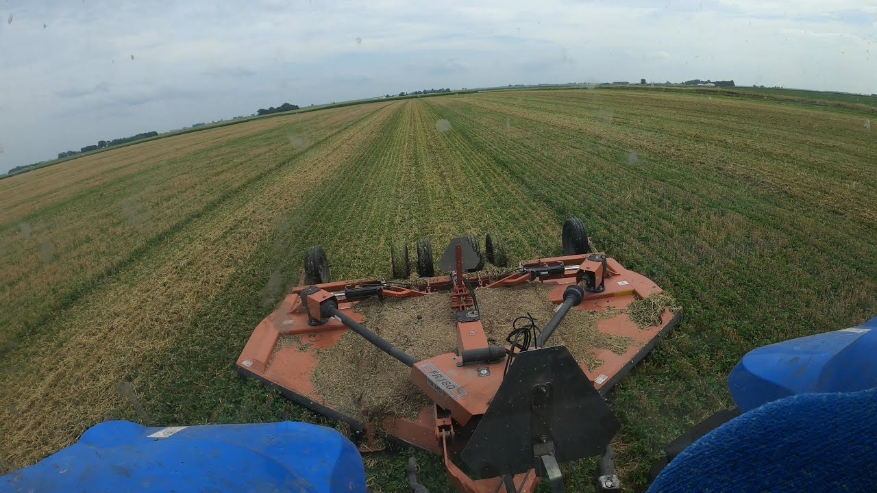 Organic Farmer - Post Harvest Update