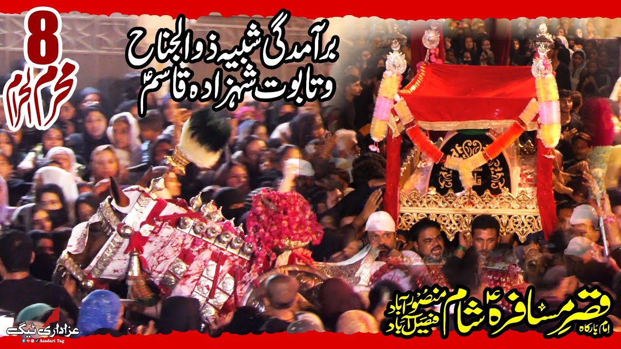 8 muharram 2025 - Bramdagi Zuljnah taboot Shahzada Qasim a.s - Mansoorabad Faisalabad