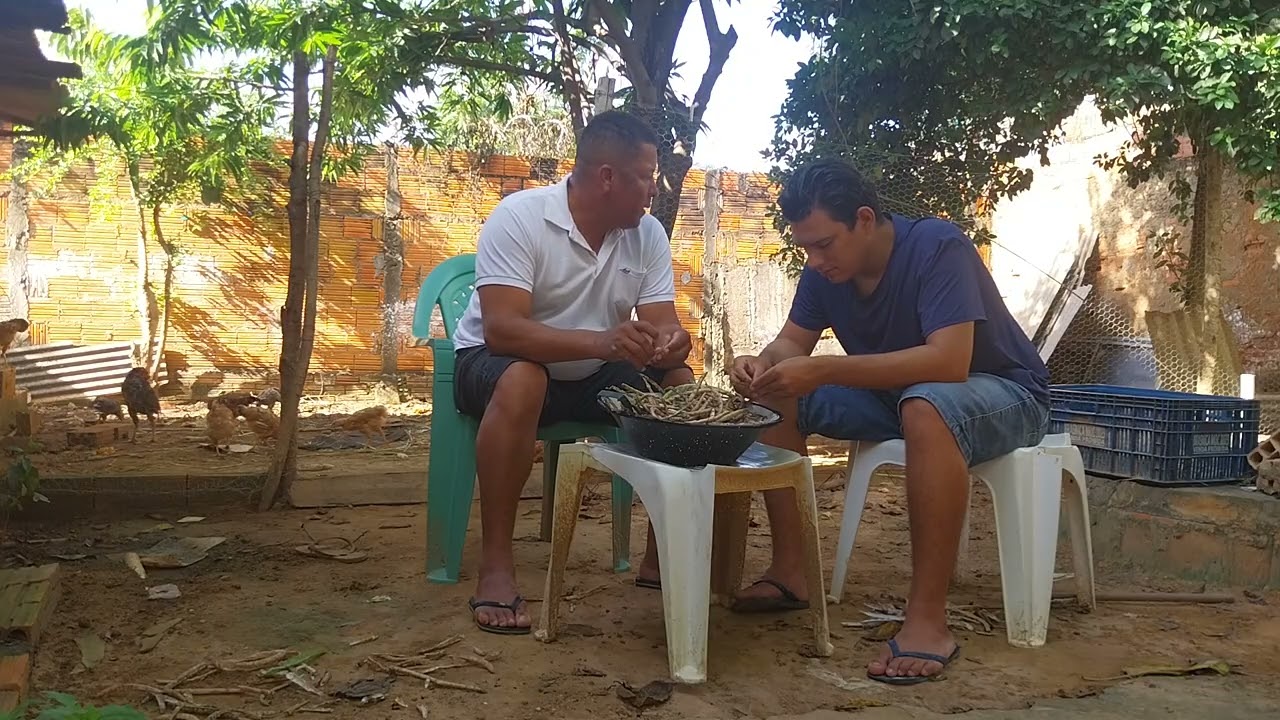 HOJE FOI DIA DE DEBUIAR O FEIJÃO 