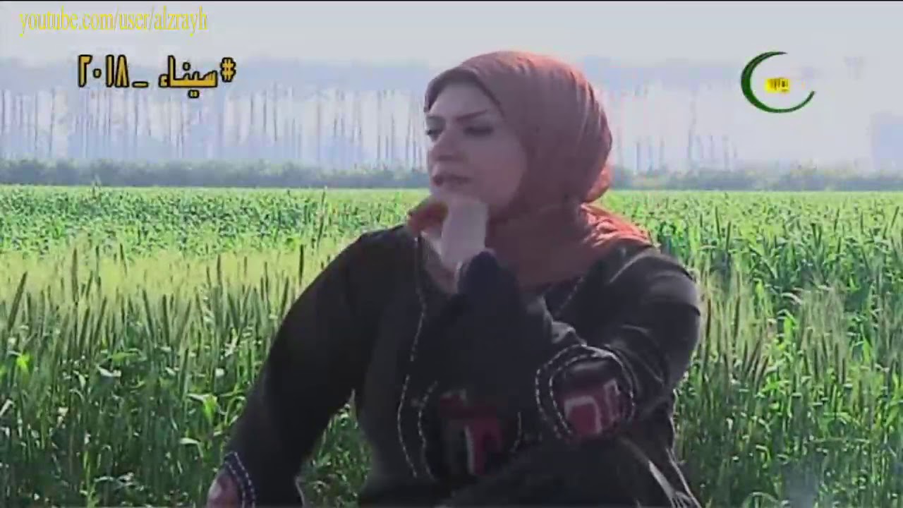زراعة القمح والتسميد والرى واهم المعاملات الزراعية