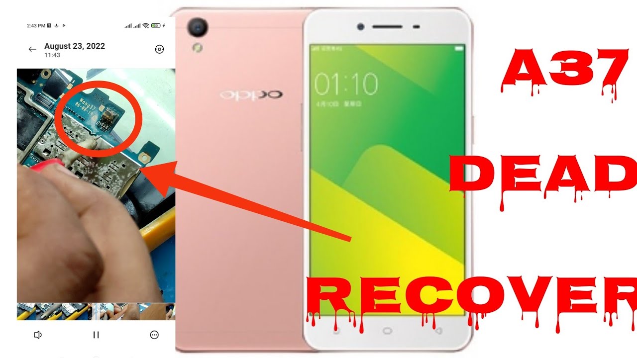 Oppo A37 dead solution done Easy