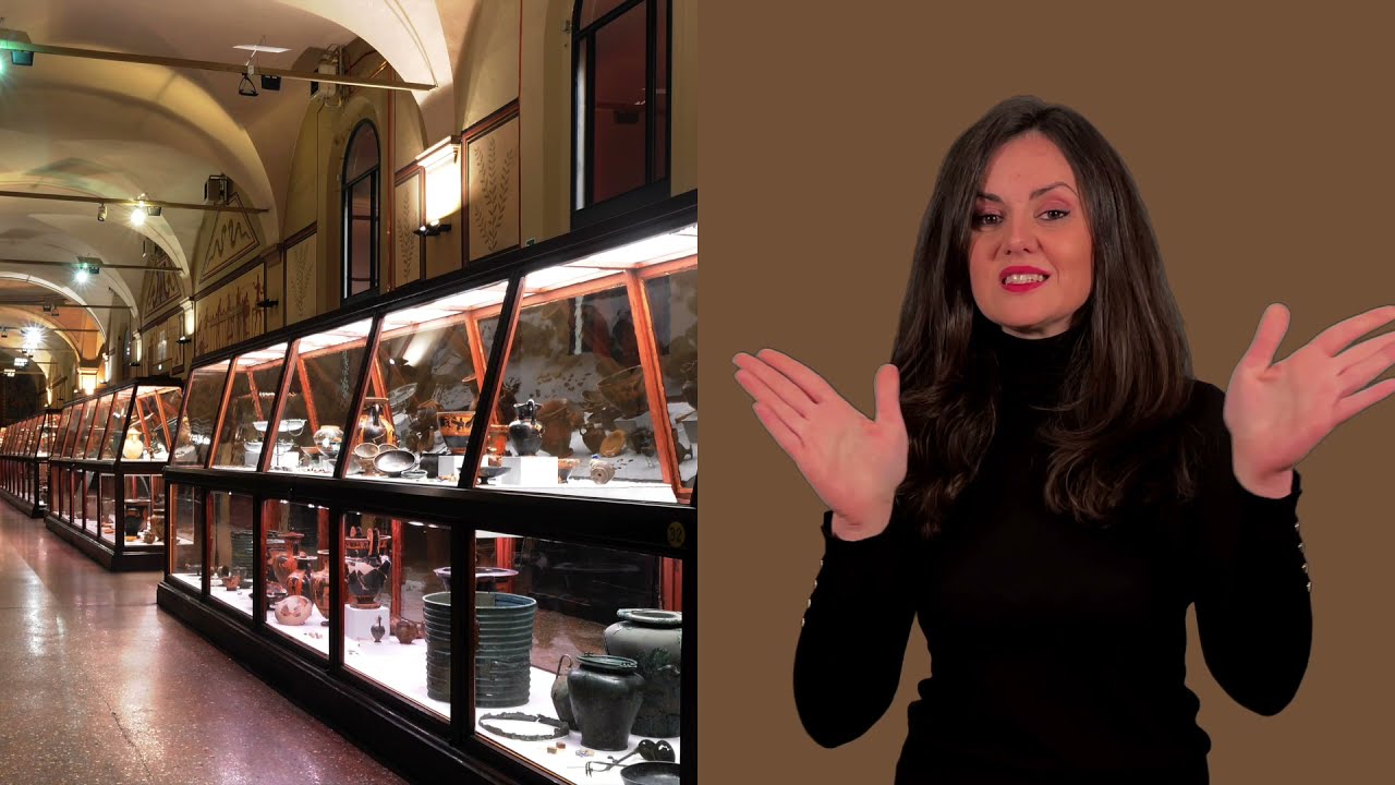 Norme accesso musei LIS