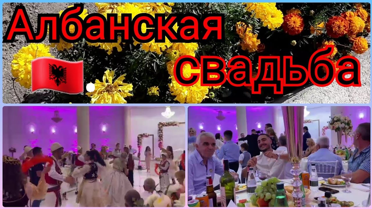 РАЙОН ГДЕ МЫ ВЫРОСЛИ🇰🇬ВИДЕО ОТ ФУРКАНА🇹🇷АЛБАНСКАЯ СВАДЬБА🇦🇱КЫРГЫЗСТАН🇰🇬КАРАКОЛ🇰🇬АЛБАНИЯ🇦🇱