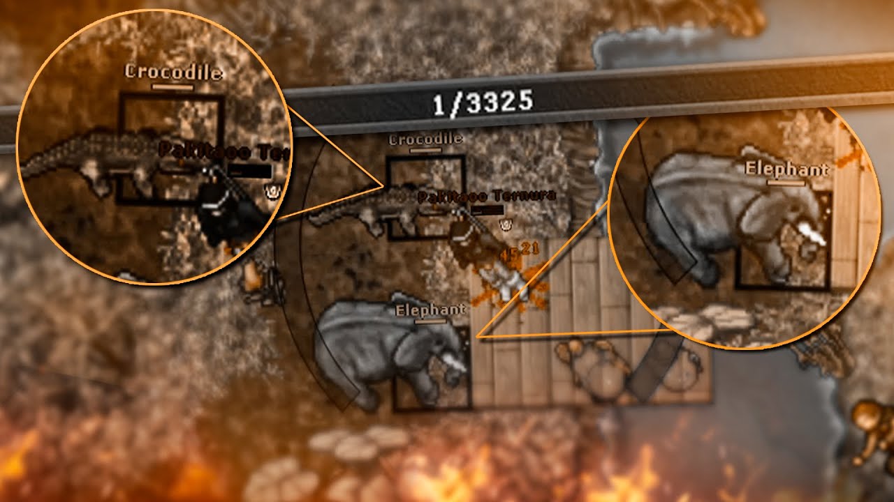 BECAREFUL WHERE YOU LEAVE AFK | CHAR WITH 65K+ OF STONE SKIN AMULET AND MIGHT RING #tibiaferumbrinha
