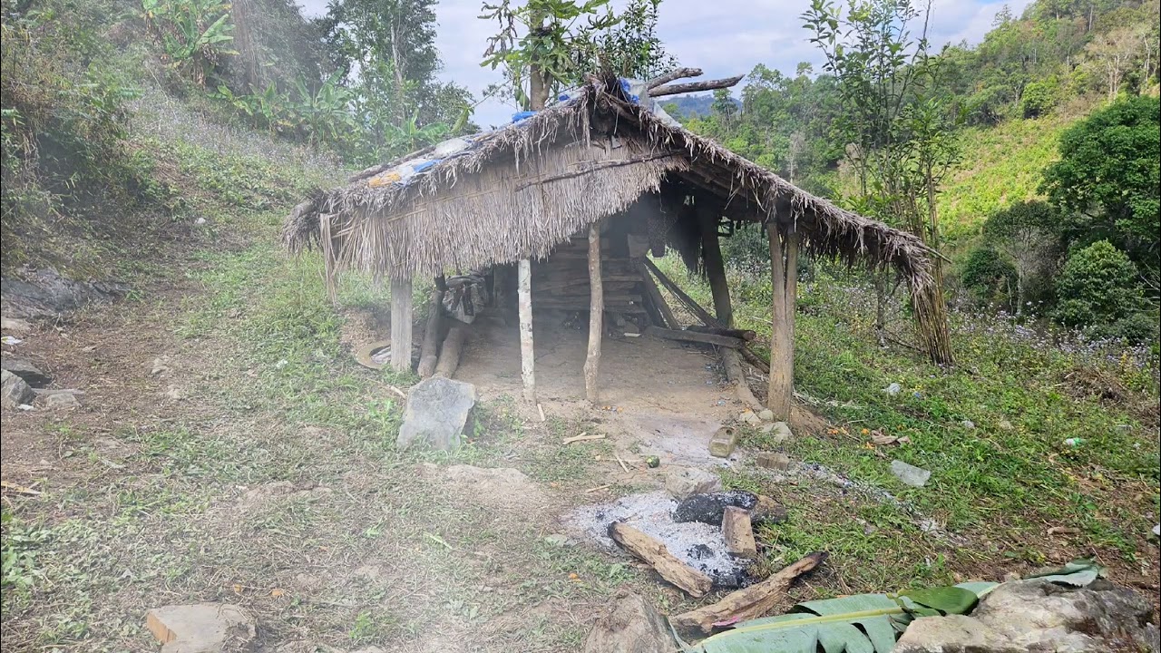 dab neeg nyab ntaus Niam pog