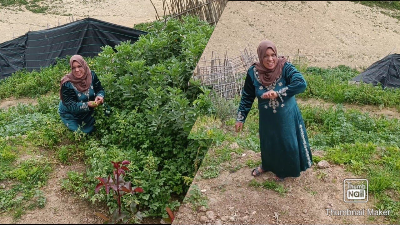 اليوم مشيت المزرعة ديال يوسف وبغيت ناخذ حقي اجي وتشوفوا شنو وقع 😱