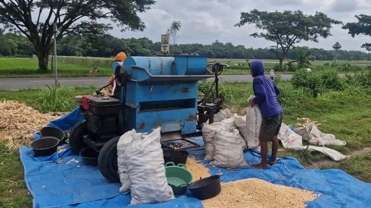 MODERN CORN SHELLING TOOL CHANGING THE WAY FARMERS WORK - Agriculture Farming