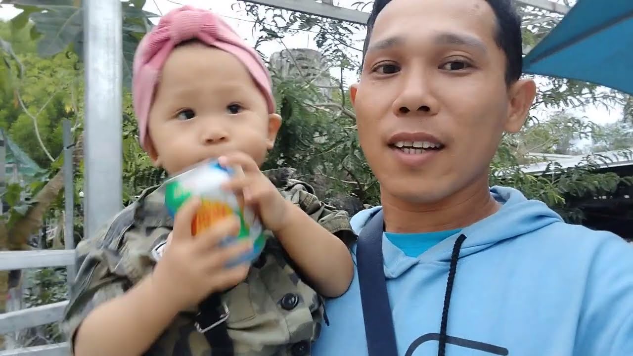Review Khu Vườn Rau Sạch Tại Nhà