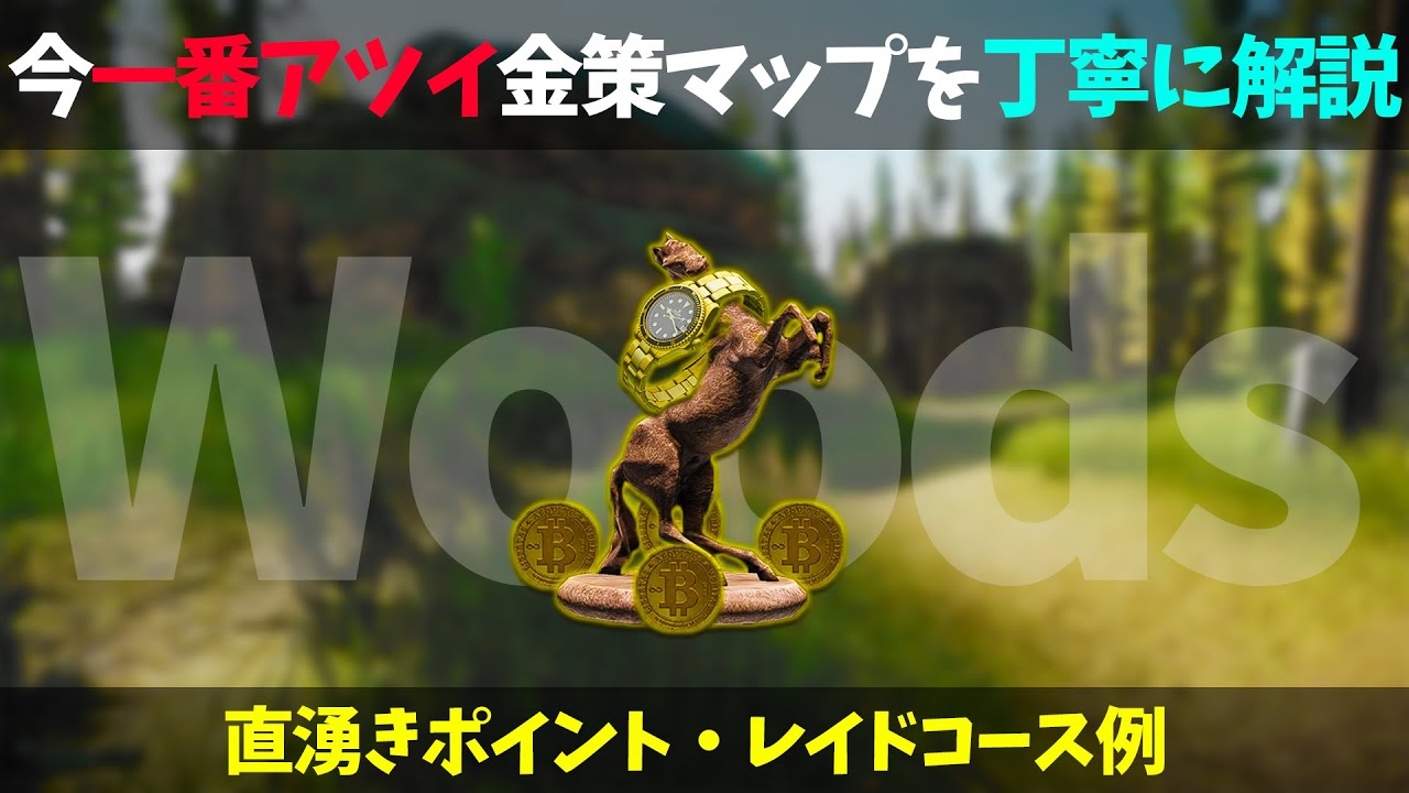【EFT 解説】大量の高級品湧き+αで大儲け！金策で良く行くウマいポイントをすべて紹介します【Woodsは激ウマ】【ガチ金策 Woods編】