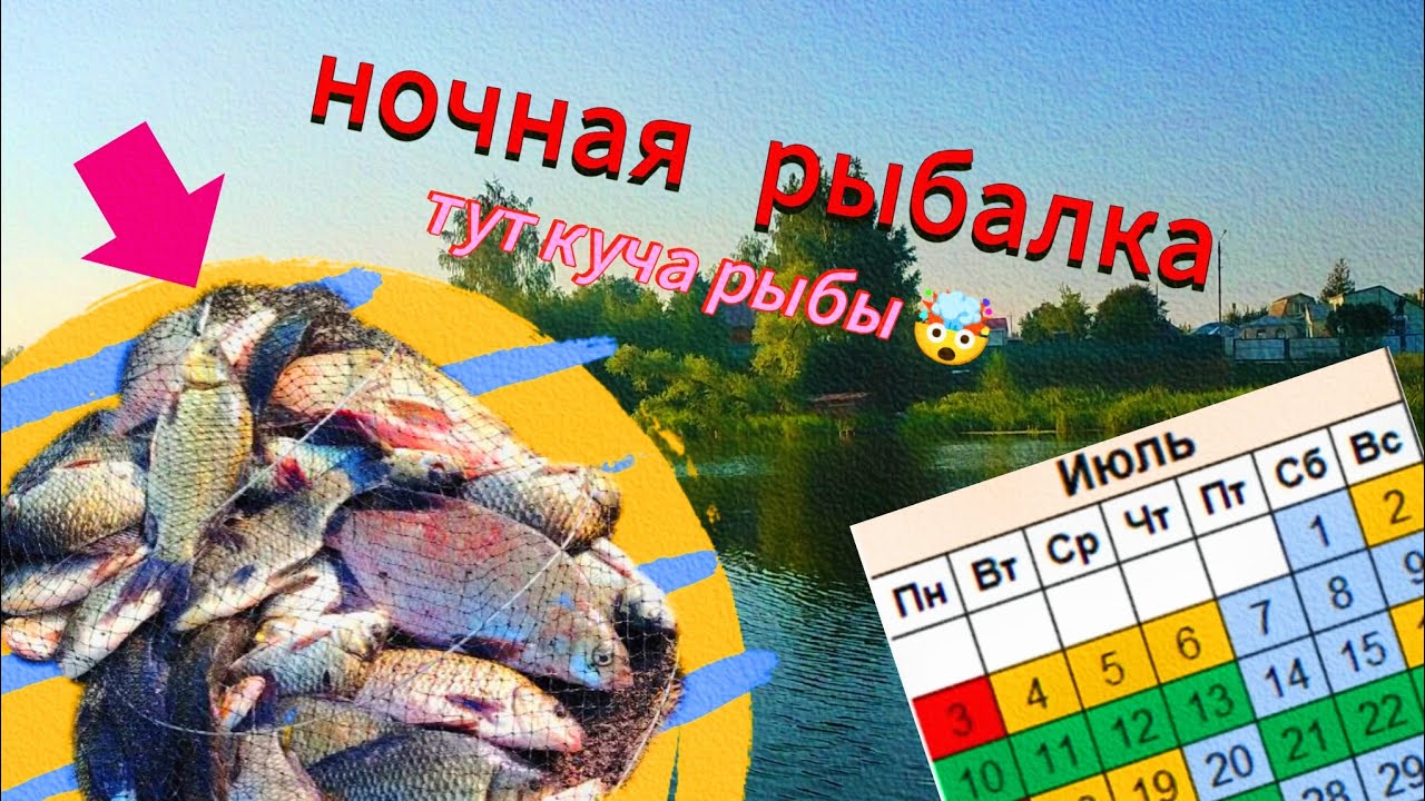 ТУТ КУЧА РЫБЫ !!! ПОРВАЛИ САДОК !!! Ночная рыбалка на речке.