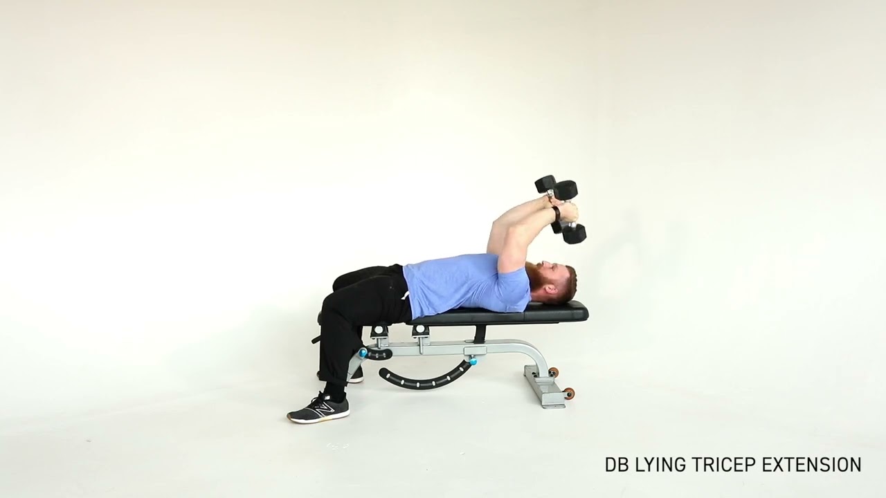 Lying DB Tricep Extension | PhysiqueDevelopment.com