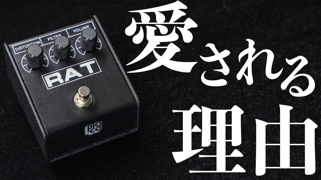 Proco RAT2がギタリストに愛される理由とは？楽器屋店員が解説します！