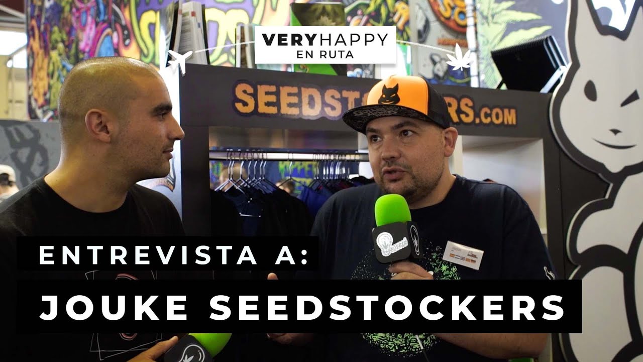 INTERVIEW WITH THE CREATOR OF SEEDSTOCKERS