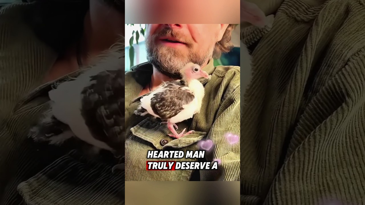 The kind man saved an abandoned bird&rsquo;s egg, and then this happened #rescue #bird
