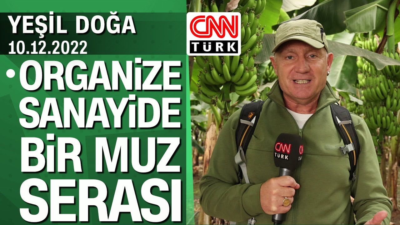 Osmaniye organize sanayi bölgesinde kurulan muz serasının hikayesi - Yeşil Doğa 10.12.2022 Cumartesi