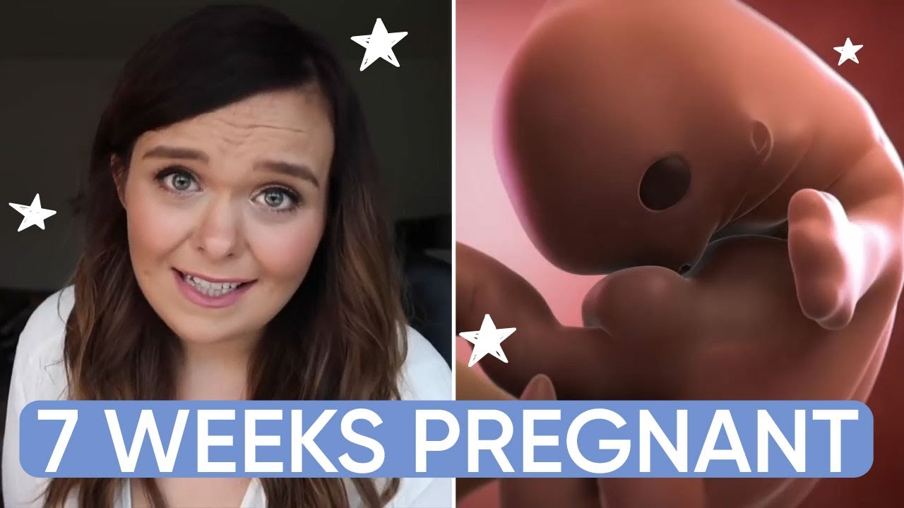 7 недель беременности: что вам нужно знать &mdash; Channel Mum