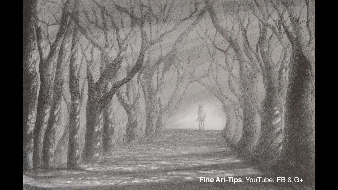 How to Draw a Road With Trees - Light and Shadow Path With Pencil