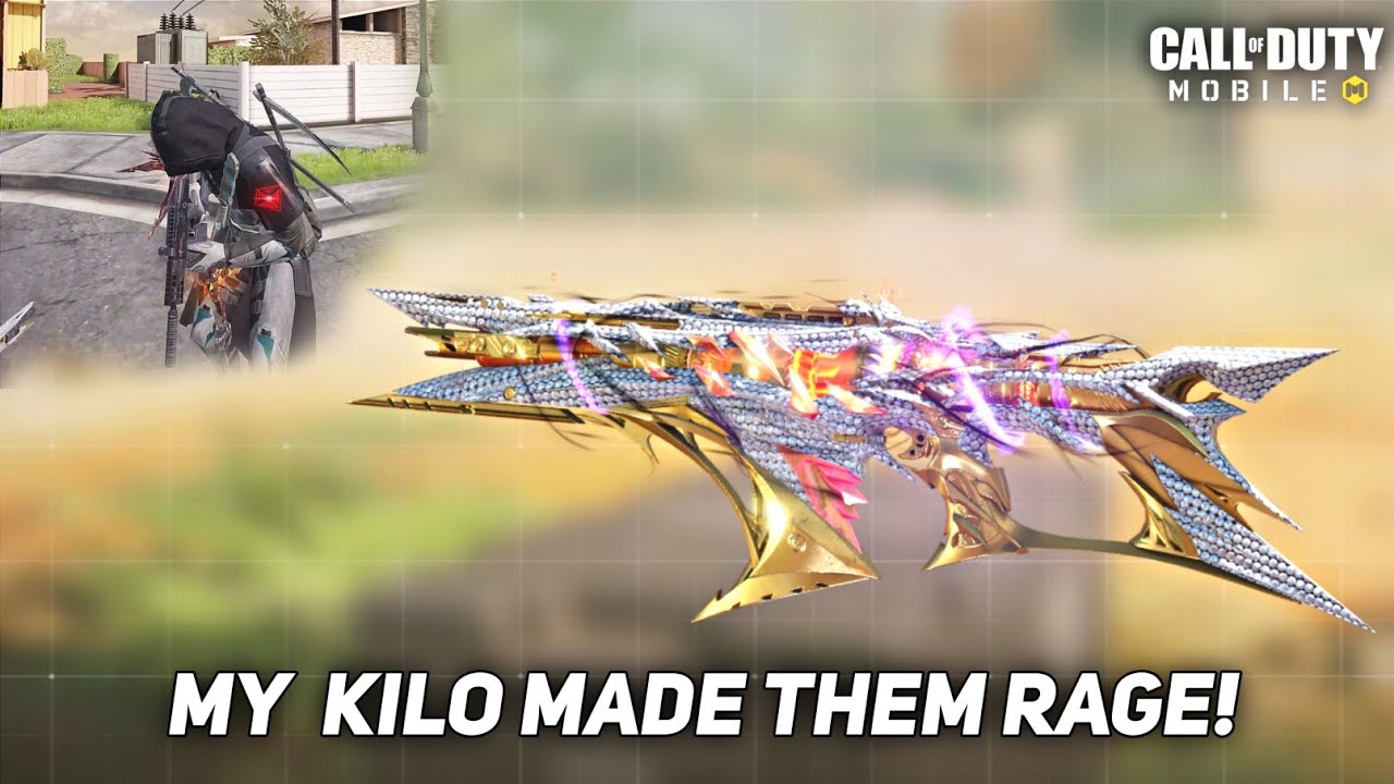 I made my enemies mad (Kilo 141 best gunsmith)
