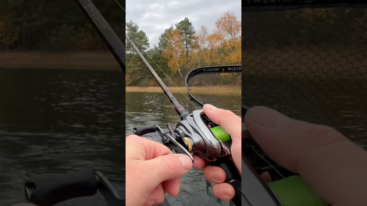 Takim zestawem można machać cały dzień #fishing #spinning #wędkarstwo #casting #szczupak #pike