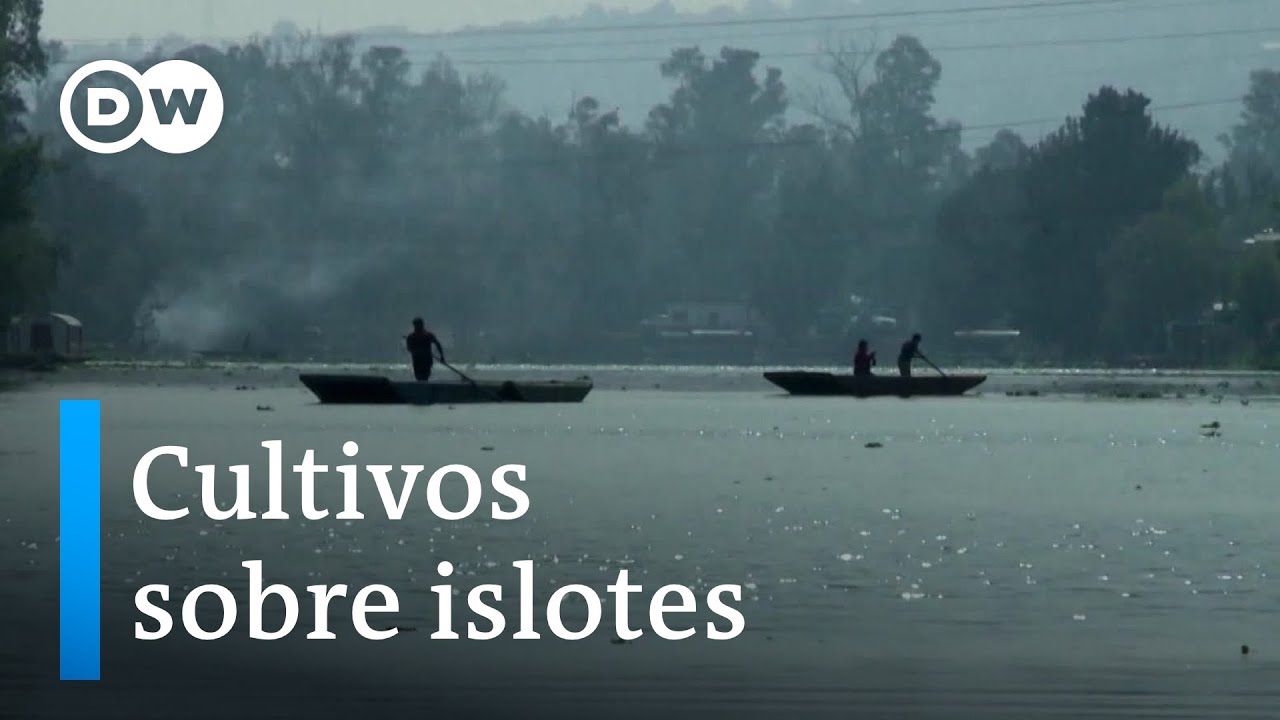 Chinampas prehisp&aacute;nicas