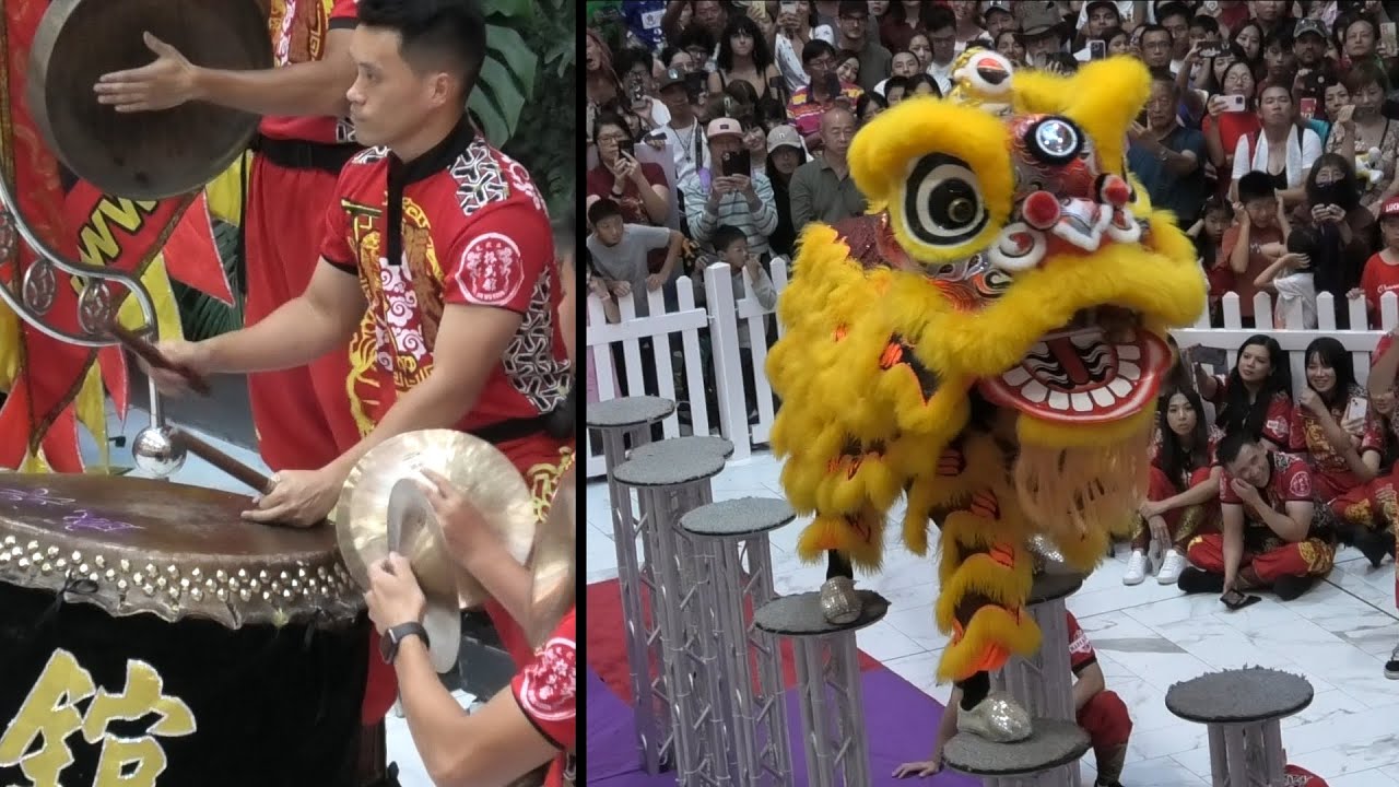 Lion Dance Lunar New Year Sydney 2024 Full Show