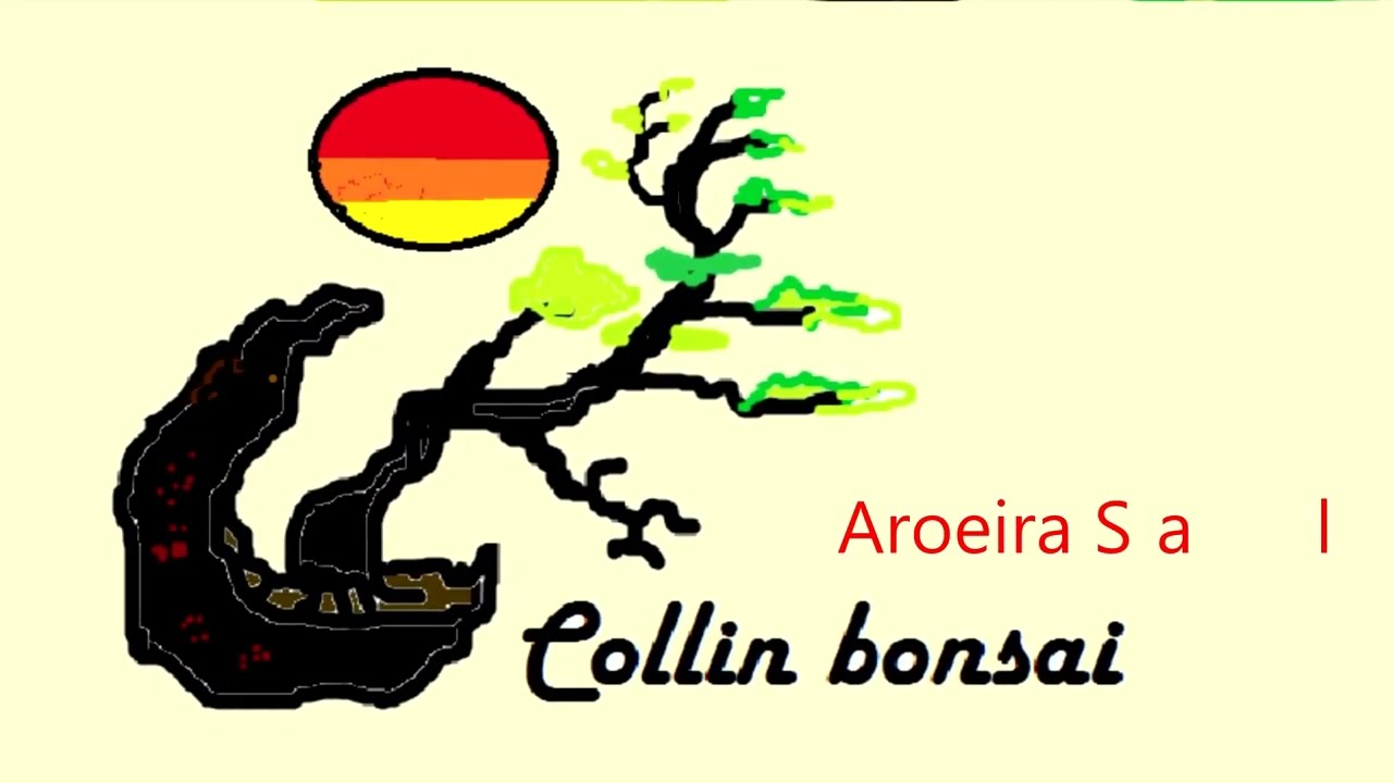 Aroeira Salsa , como fazer bonsai de Aroeira