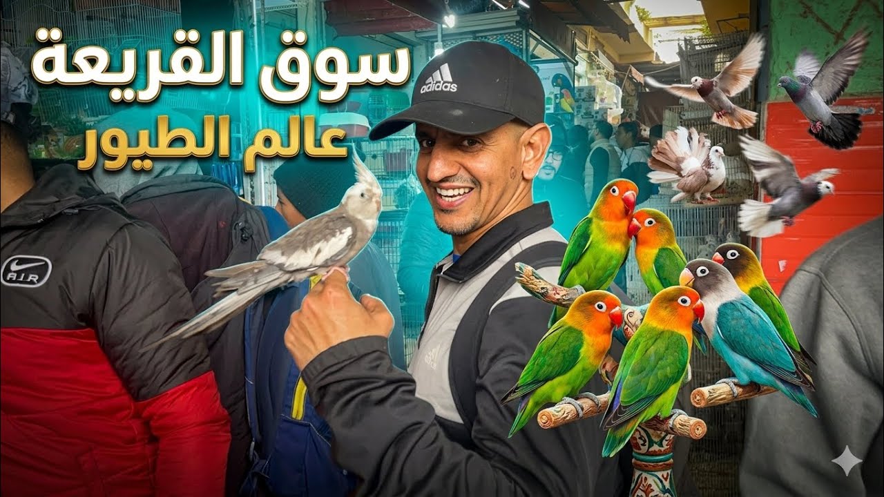 عشاق الطيور والحمام 🐦 جولة خاصة في سوق القريعة