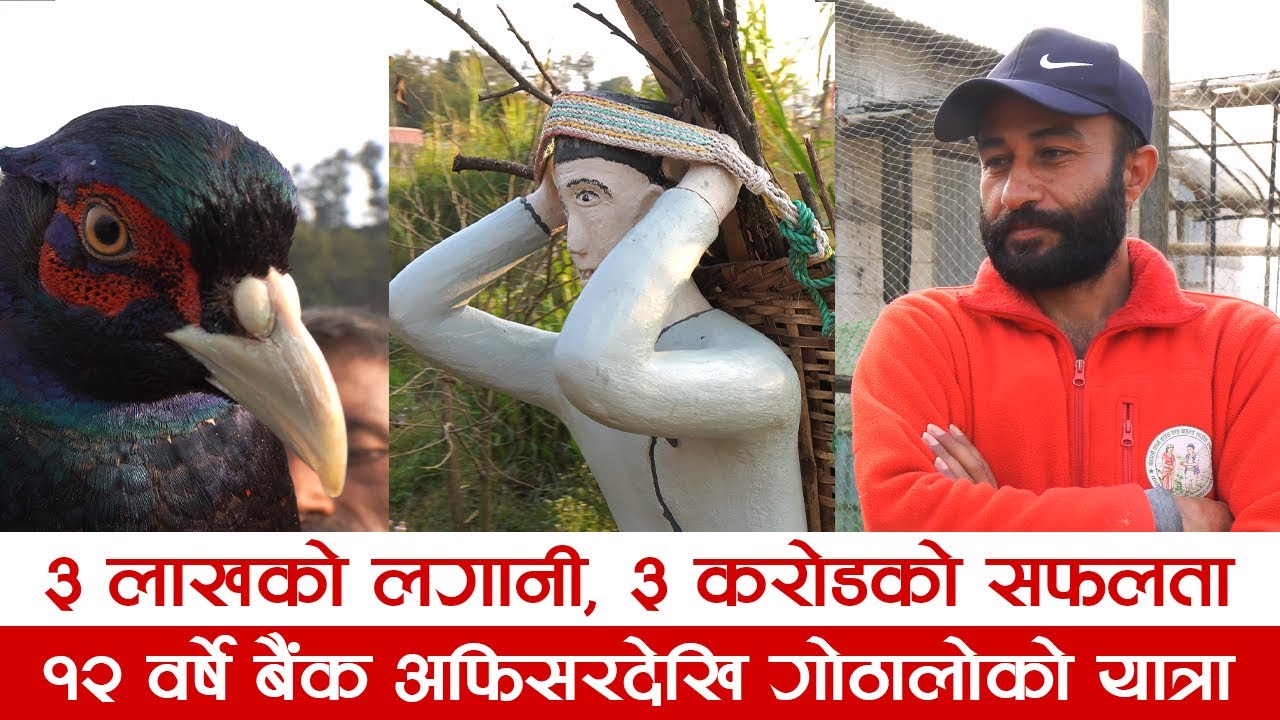 Bank छोडेर व्यापार : 3 Lakhs बाट 3 करोड | Success Story | Gothalo Farm House & Wildlife Camp | Hulak