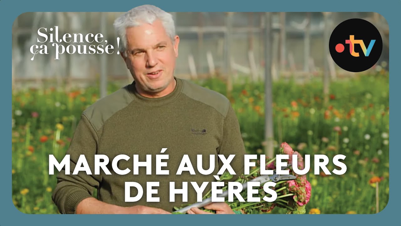 Marché aux fleurs de Hyères - Silence, ça pousse !