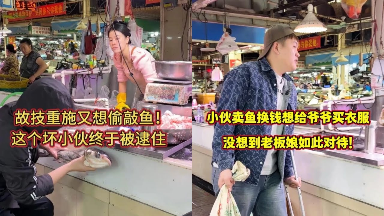 故技重施又想偷敲鱼，这个坏小伙终于被逮住！｜小伙卖鱼换钱给爷爷买衣服，没想到老板娘如此对待！
