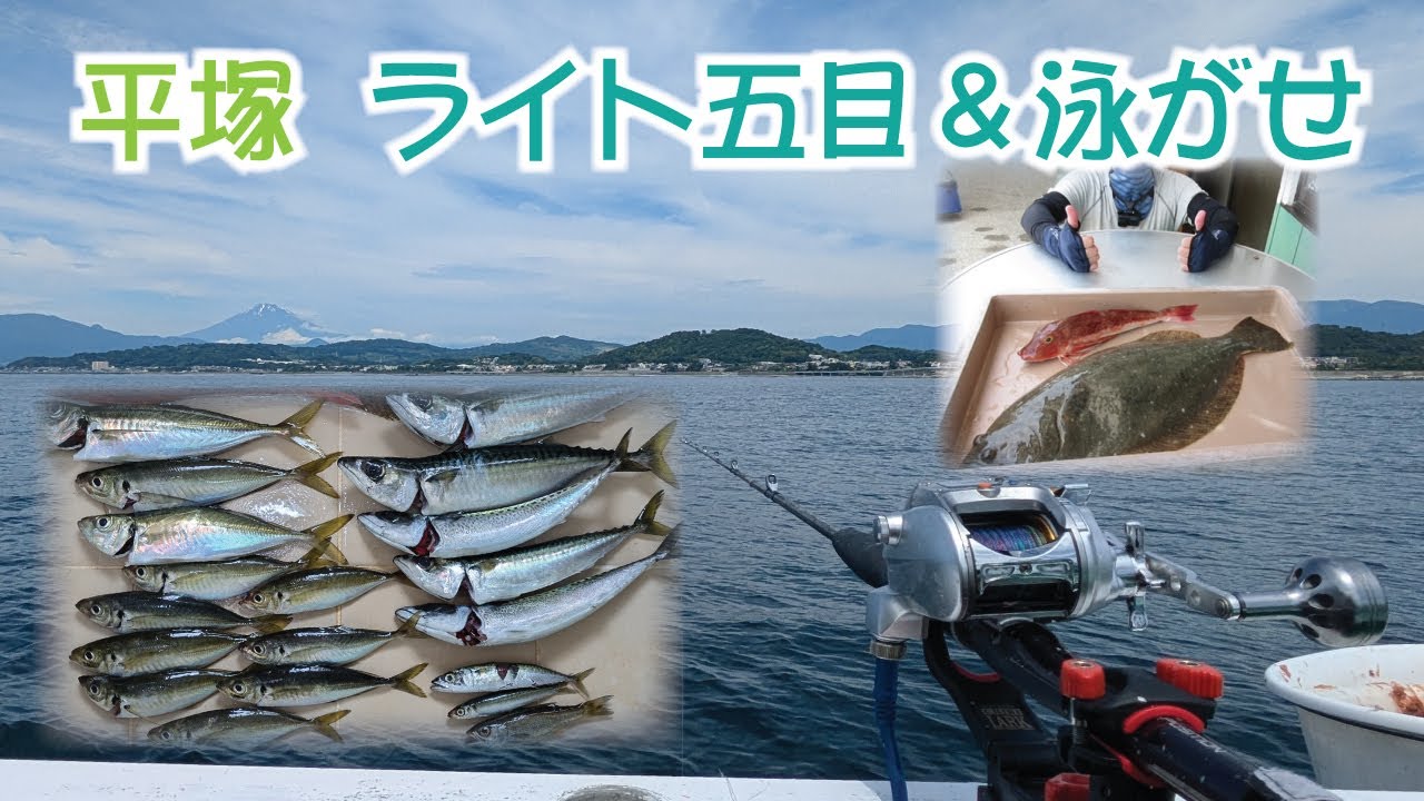 平塚 ライト五目&泳がせ釣り 大物ゲット!?