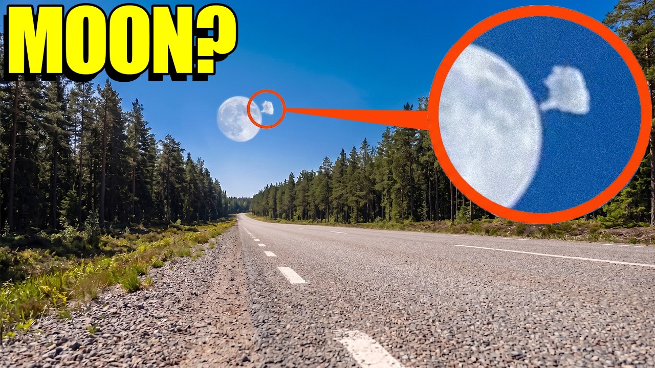 If you see this on the MOON, CALL for help FAST! (It will END us!)