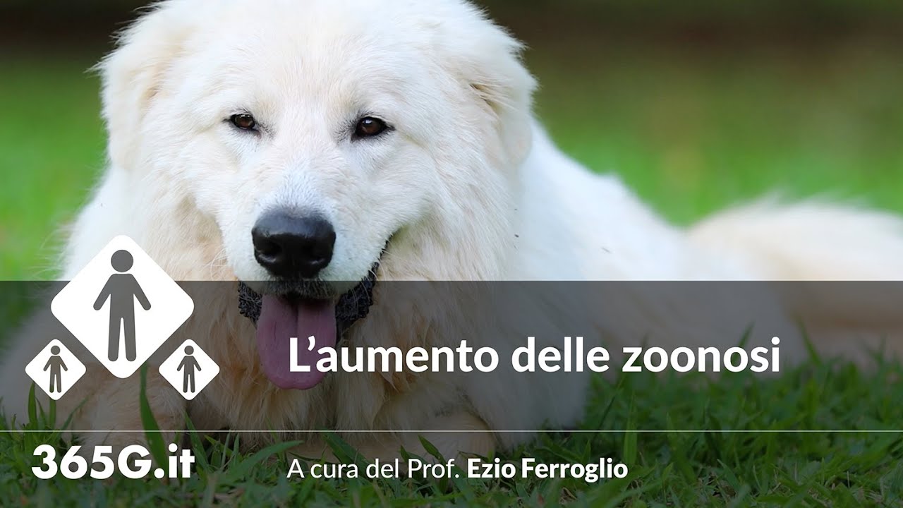 L'aumento delle zoonosi