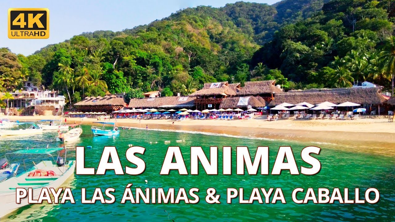 Playa Las Ánimas, Playa Caballo a Casitas Maraika/Walking tour two beaches south of Puerto Vallarta