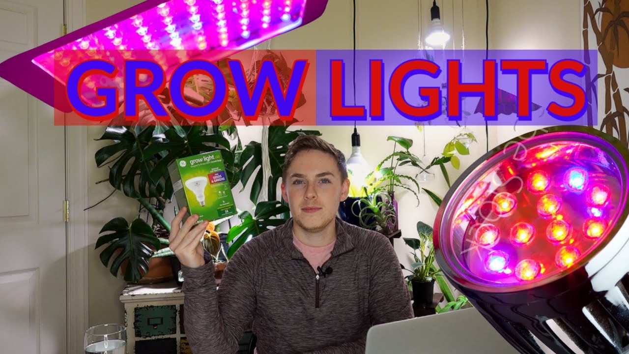 CHEAP LED Grow Lights for Houseplants - My Grow Light Setup
