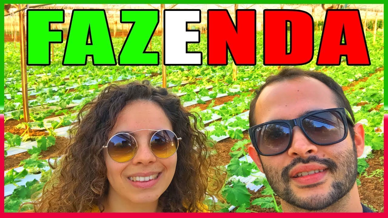 UM TOUR PELA NOSSA FAZENDA NA ITÁLIA