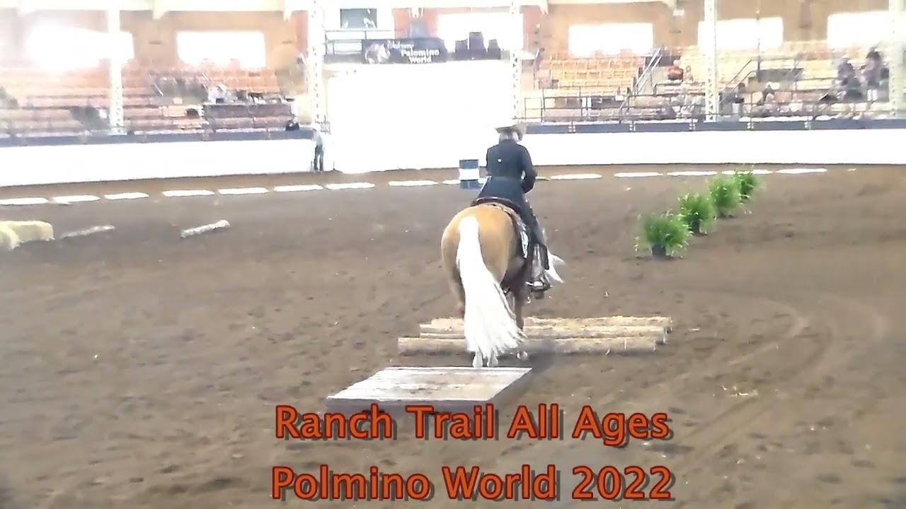 Ranch Trail Class Palomino World Show 2022