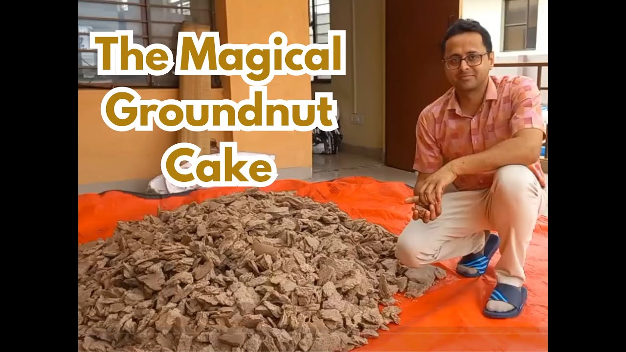 "The Magical Groundnut Cake"  