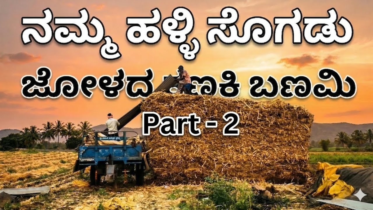 ಜೋಳದ ಬಣಮಿ #agriculture #farming #peaceful #lifestyle #villagelife #healthylifestyle 