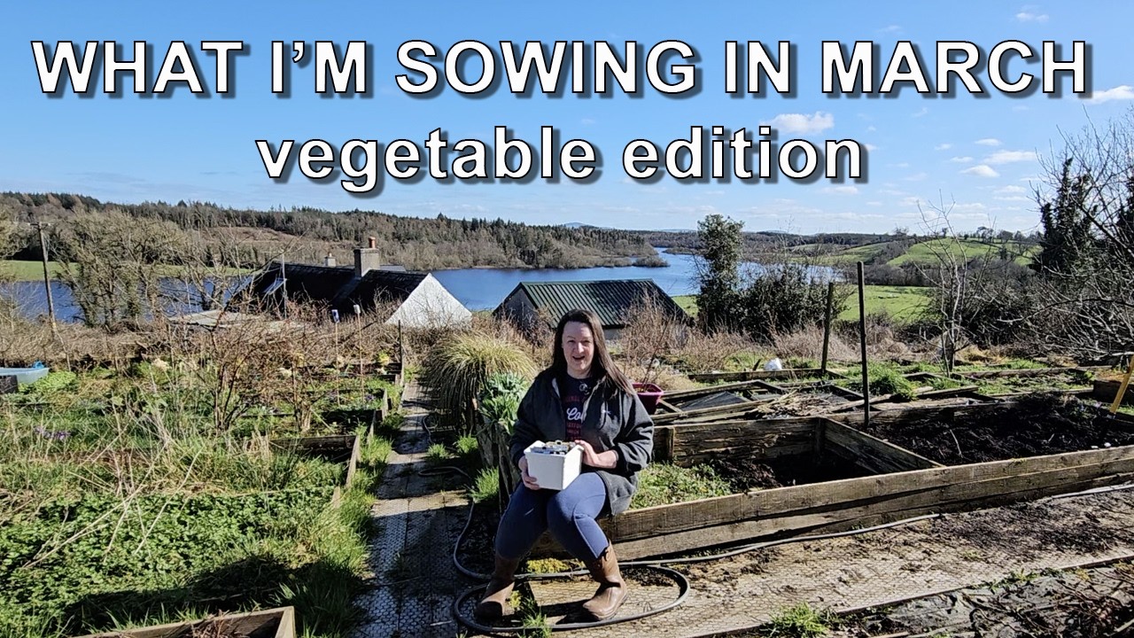 What I'm sowing in March - Vegetable Edition