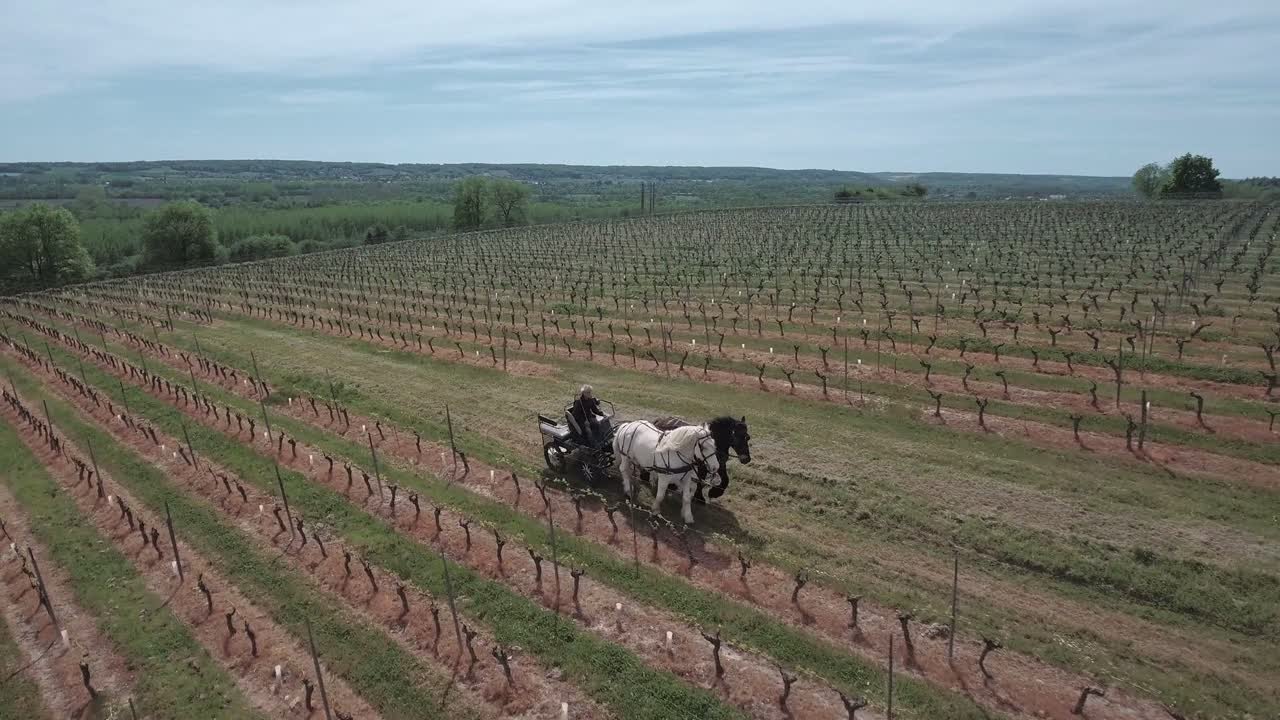 The French city of Chinon, the land of Rabelais