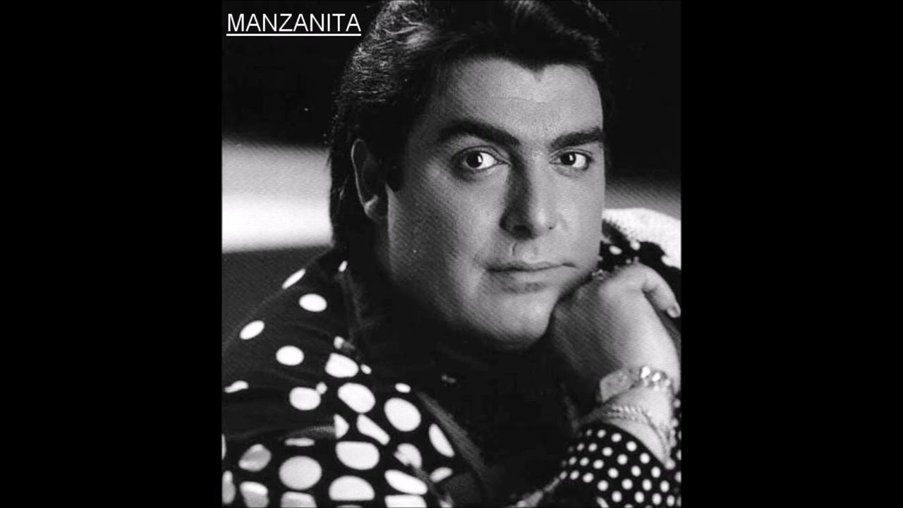 MANZANITA IA TIJERITAS   MI VIDA VACIA