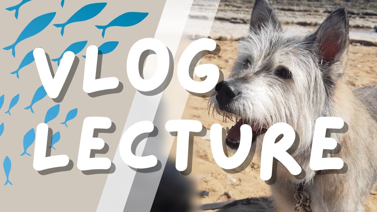 [Vlog-Lecture] La mer avec des Weird Women