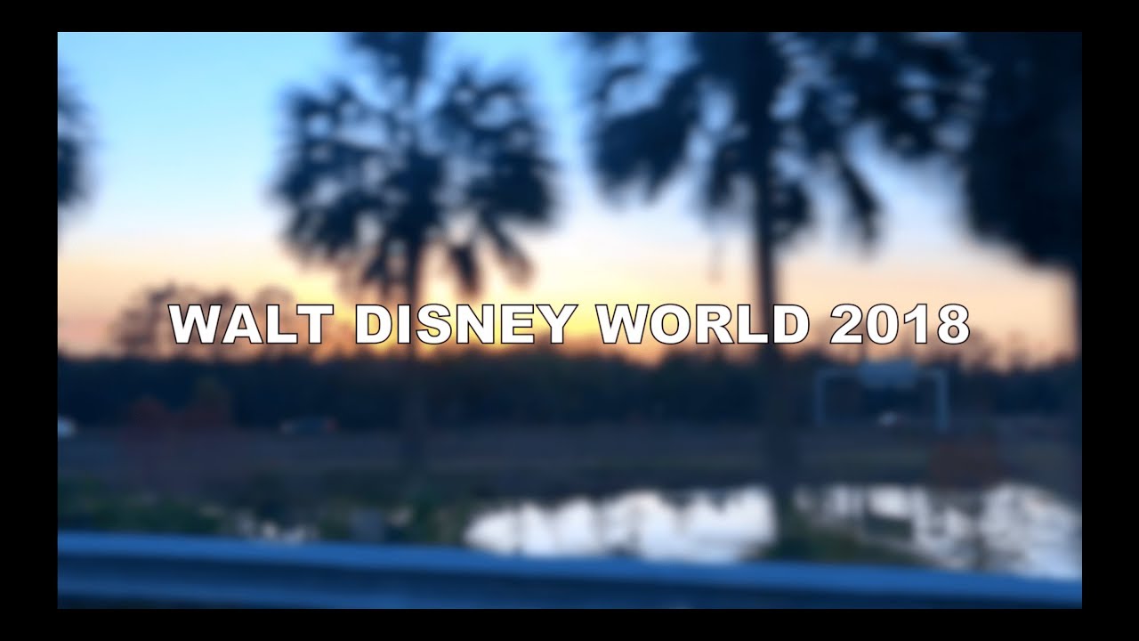 WALT DISNEY WORLD 2018