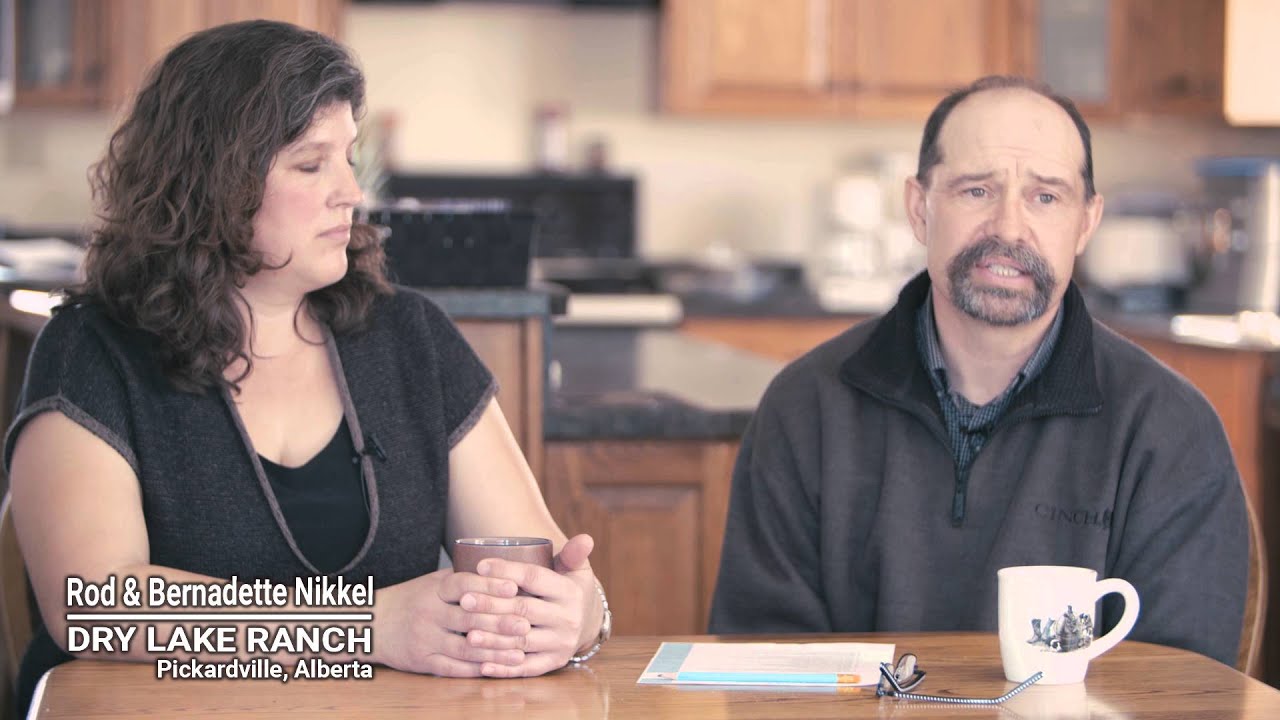 Winter Grazing Systems: Corn Grazing & Supplementation