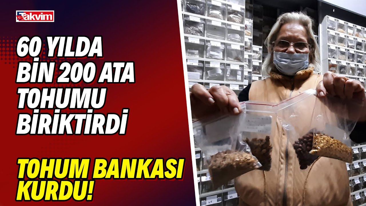 60 yılda bin 200 ata tohum toplayıp tohum bankası kurdu